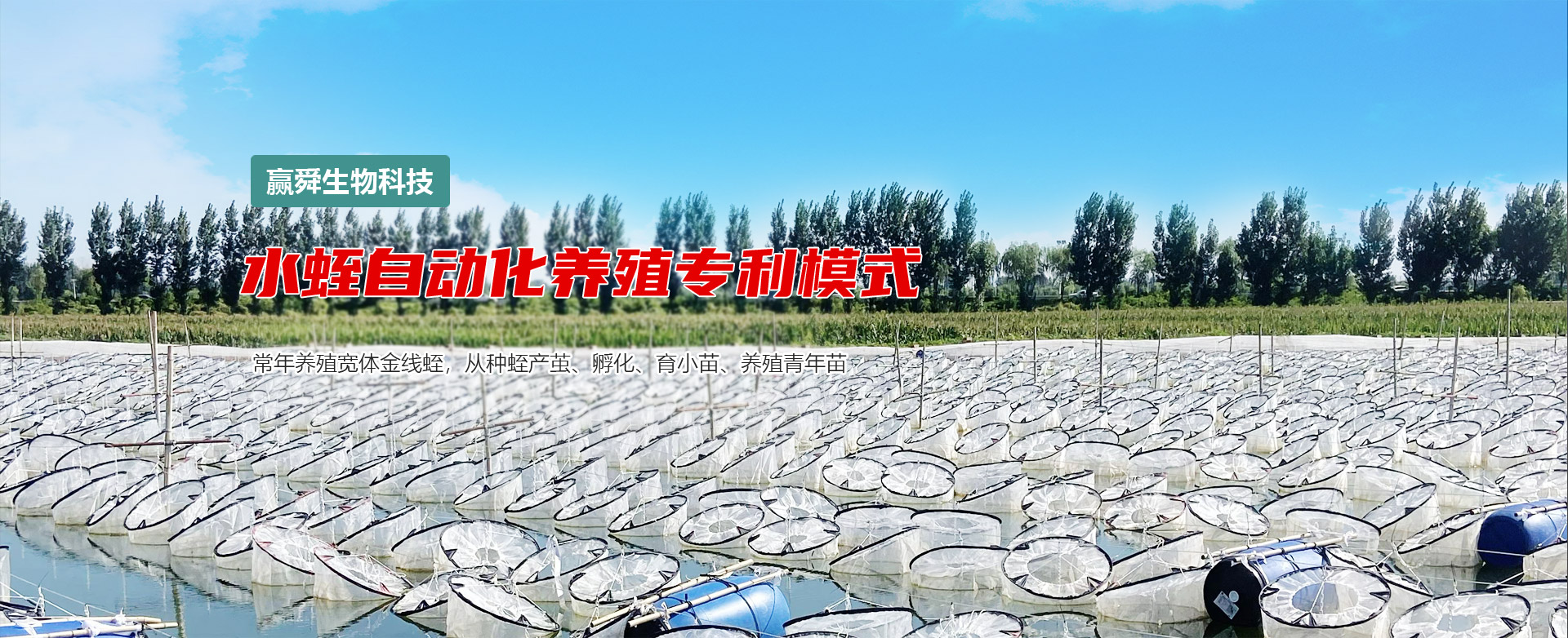 9001cc金沙