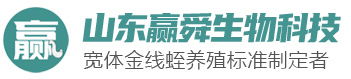 9001cc金沙