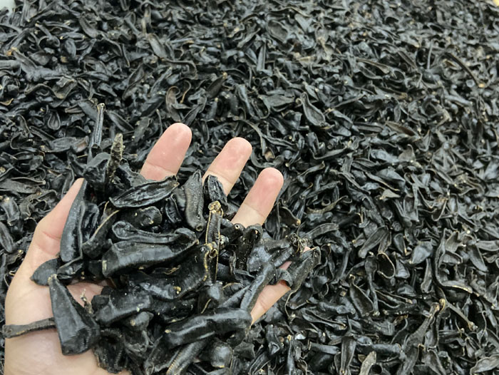 9001cc金沙制品