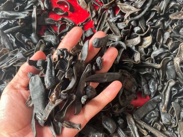 small4_17111942882125242 9001cc金沙制品