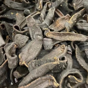 9001cc金沙制品