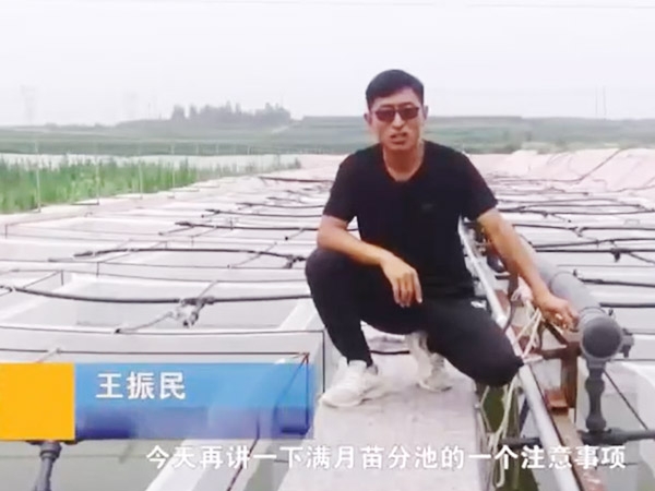 9001cc金沙满月苗确当苦衷项