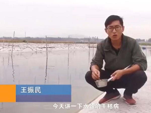 9001cc金沙干枯病发生涯法规及防治步骤