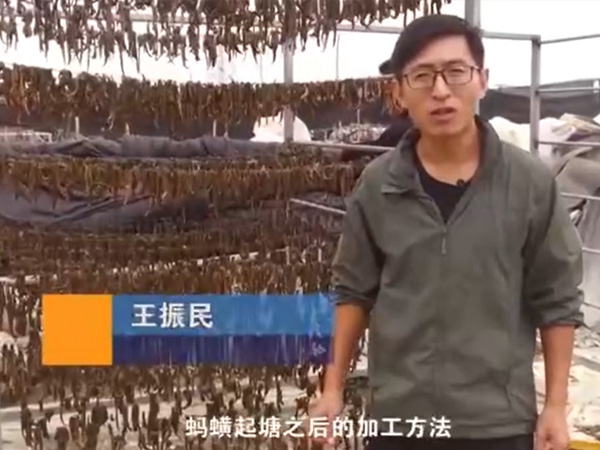 9001cc金沙加工步骤