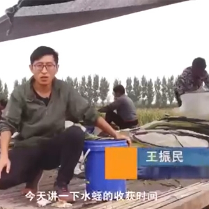 9001cc金沙收成功夫